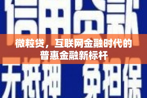 壮围微粒贷，互联网金融时代的普惠金融新标杆
