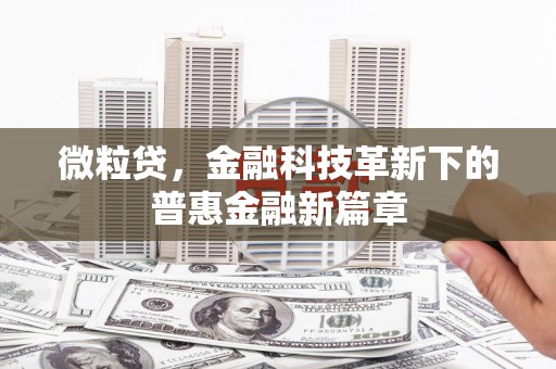 壮围微粒贷，金融科技革新下的普惠金融新篇章