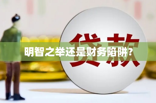 壮围明智之举还是财务陷阱？