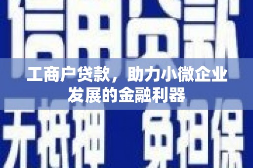 壮围工商户贷款，助力小微企业发展的金融利器
