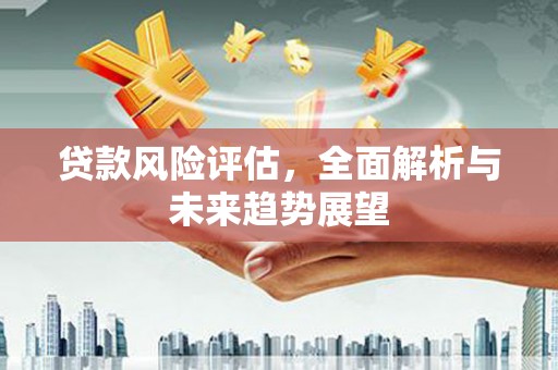壮围贷款风险评估，全面解析与未来趋势展望
