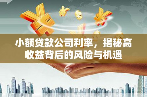 壮围小额贷款公司利率，揭秘高收益背后的风险与机遇