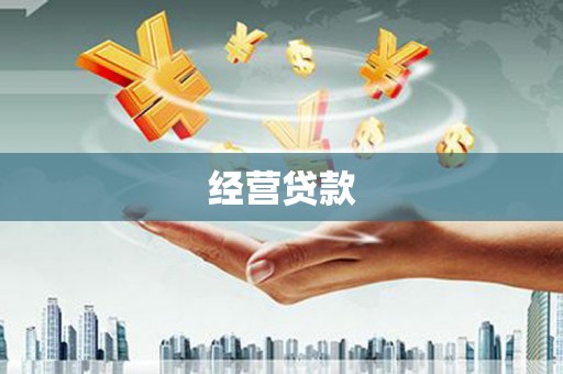 壮围经营贷款