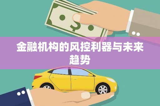 壮围金融机构的风控利器与未来趋势