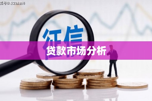 壮围贷款市场分析