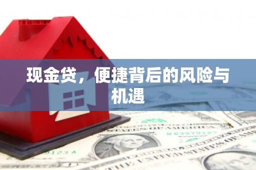 壮围现金贷，便捷背后的风险与机遇