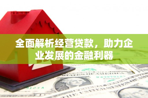 壮围全面解析经营贷款，助力企业发展的金融利器
