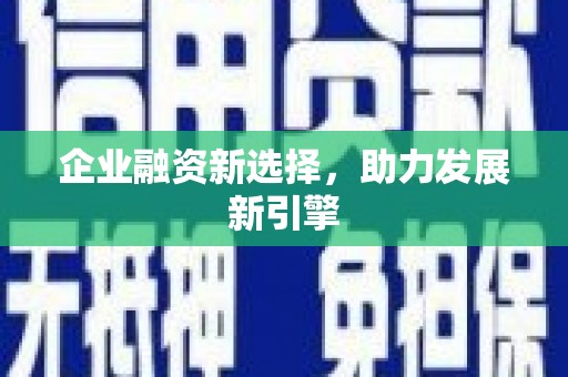 壮围企业融资新选择，助力发展新引擎