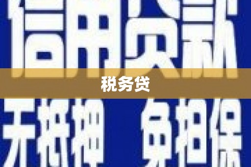 壮围税务贷
