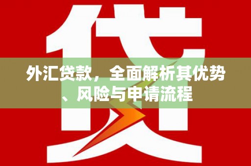 壮围外汇贷款，全面解析其优势、风险与申请流程