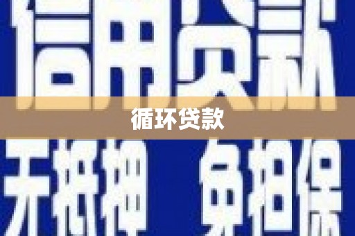 壮围循环贷款