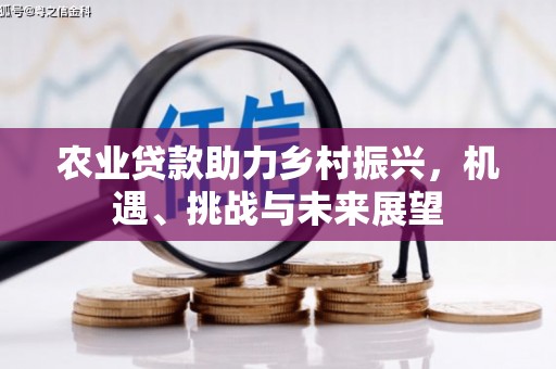 壮围农业贷款助力乡村振兴，机遇、挑战与未来展望