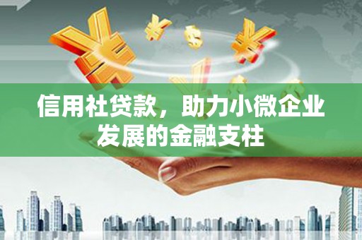 壮围信用社贷款，助力小微企业发展的金融支柱