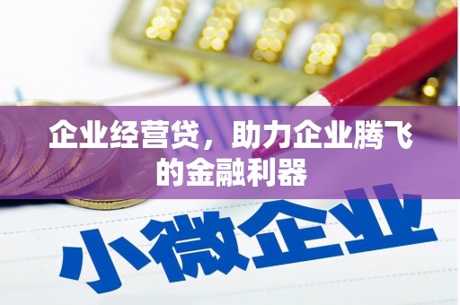 壮围企业经营贷，助力企业腾飞的金融利器