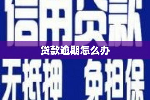 壮围贷款逾期怎么办