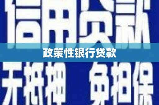 壮围政策性银行贷款