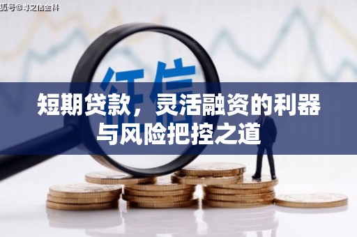壮围短期贷款，灵活融资的利器与风险把控之道