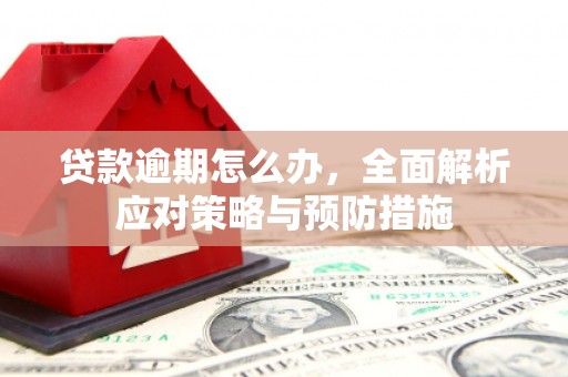 壮围贷款逾期怎么办，全面解析应对策略与预防措施