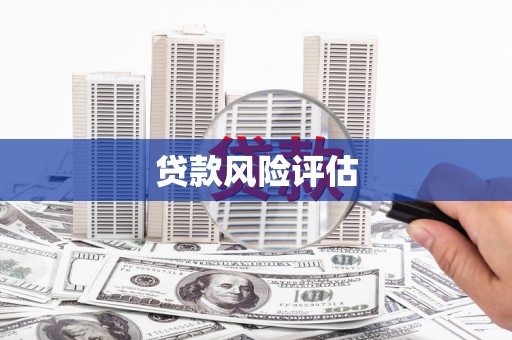 壮围贷款风险评估
