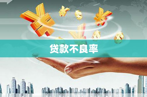 壮围贷款不良率