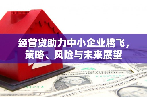 壮围经营贷助力中小企业腾飞，策略、风险与未来展望