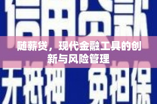 壮围随薪贷，现代金融工具的创新与风险管理