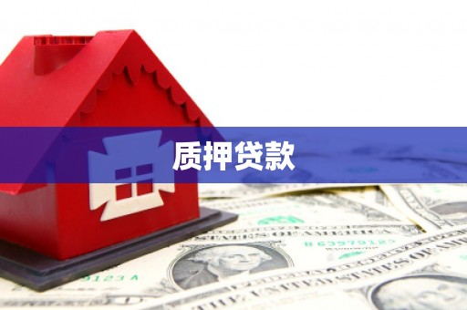 壮围质押贷款