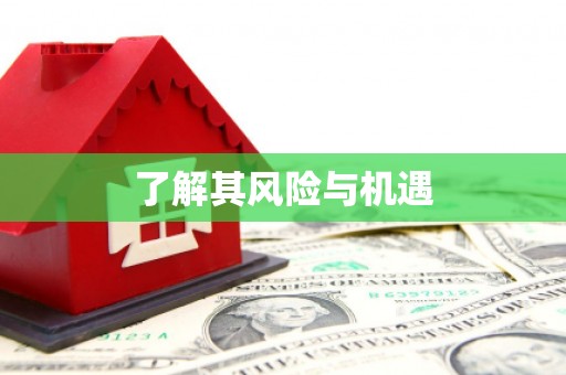 壮围了解其风险与机遇