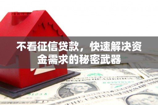 壮围不看征信贷款，快速解决资金需求的秘密武器