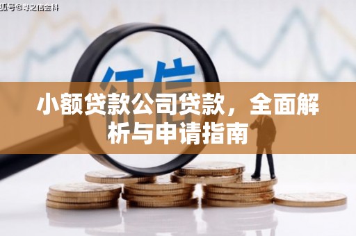 壮围小额贷款公司贷款，全面解析与申请指南