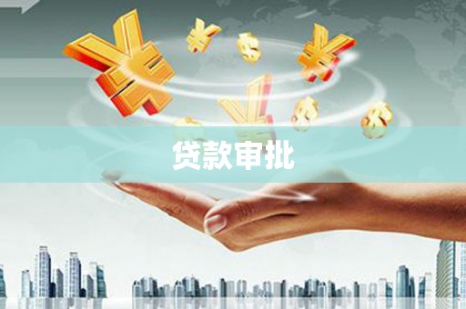 壮围贷款审批