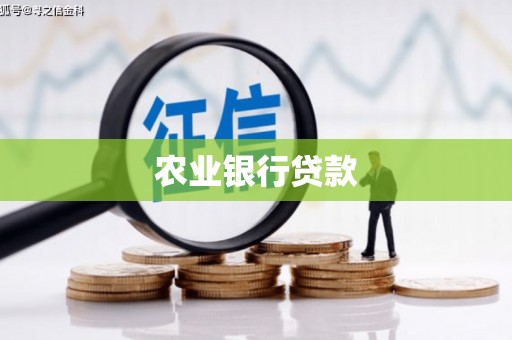 壮围农业银行贷款