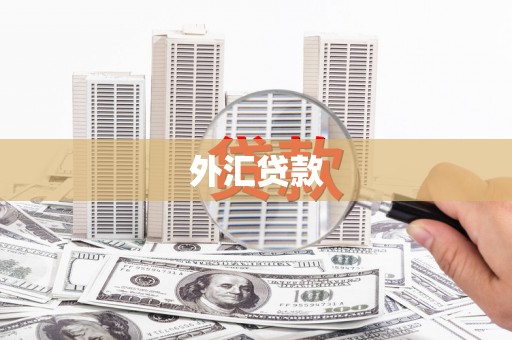 壮围外汇贷款