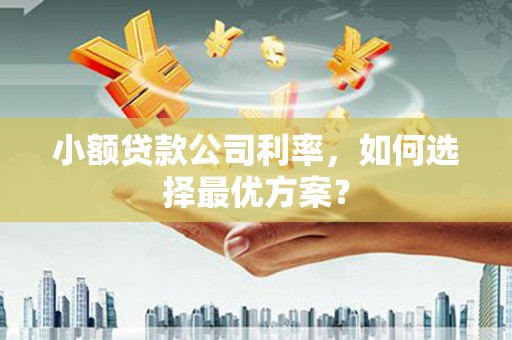 壮围小额贷款公司利率，如何选择最优方案？