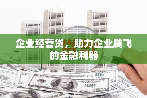 壮围企业经营贷，助力企业腾飞的金融利器