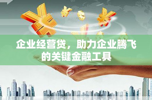 壮围企业经营贷，助力企业腾飞的关键金融工具