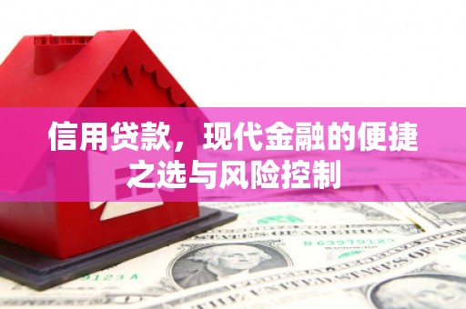 壮围信用贷款，现代金融的便捷之选与风险控制