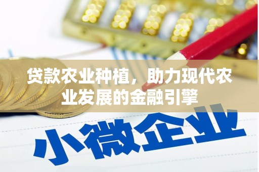 壮围贷款农业种植，助力现代农业发展的金融引擎