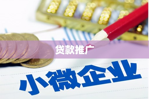 壮围贷款推广