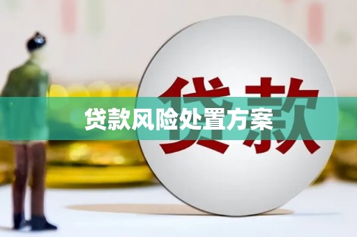 壮围贷款风险处置方案
