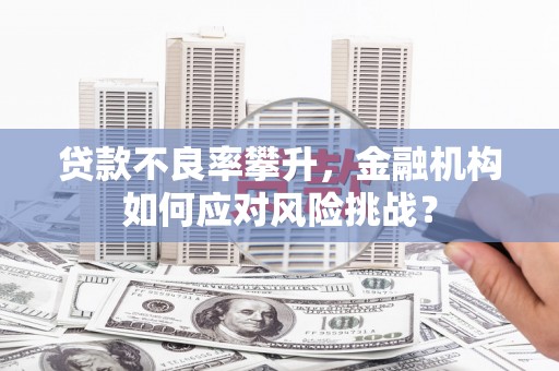 壮围贷款不良率攀升，金融机构如何应对风险挑战？