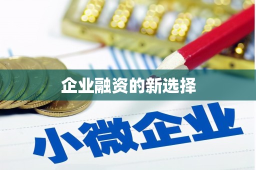壮围企业融资的新选择