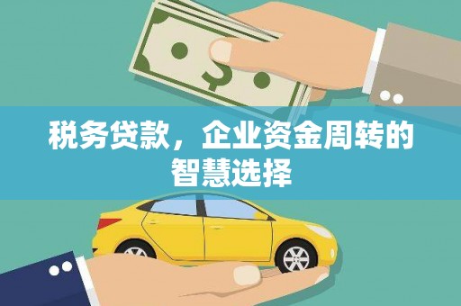 壮围税务贷款，企业资金周转的智慧选择