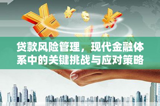 壮围贷款风险管理，现代金融体系中的关键挑战与应对策略