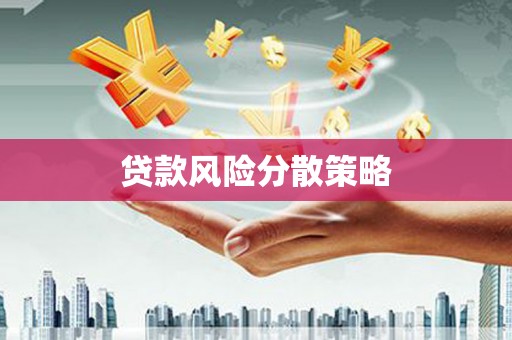 壮围贷款风险分散策略