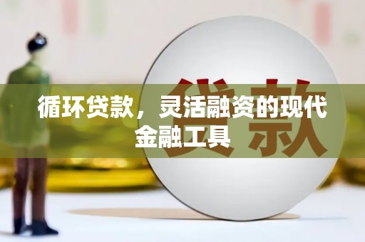 壮围循环贷款，灵活融资的现代金融工具