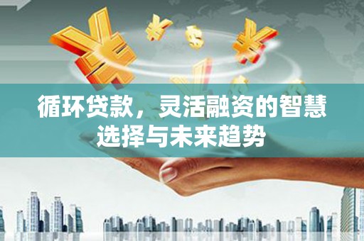 壮围循环贷款，灵活融资的智慧选择与未来趋势