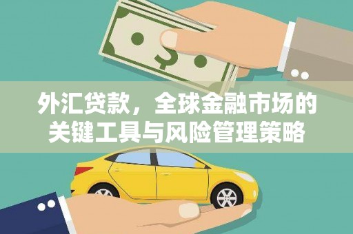 壮围外汇贷款，全球金融市场的关键工具与风险管理策略