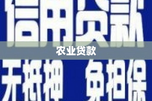 壮围农业贷款