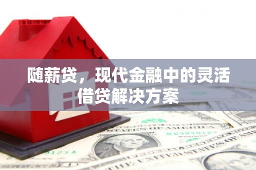 壮围随薪贷，现代金融中的灵活借贷解决方案